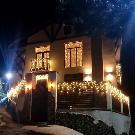 villa beridze Borzsomi Kültér fotó