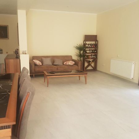villa beridze Borzsomi Kültér fotó