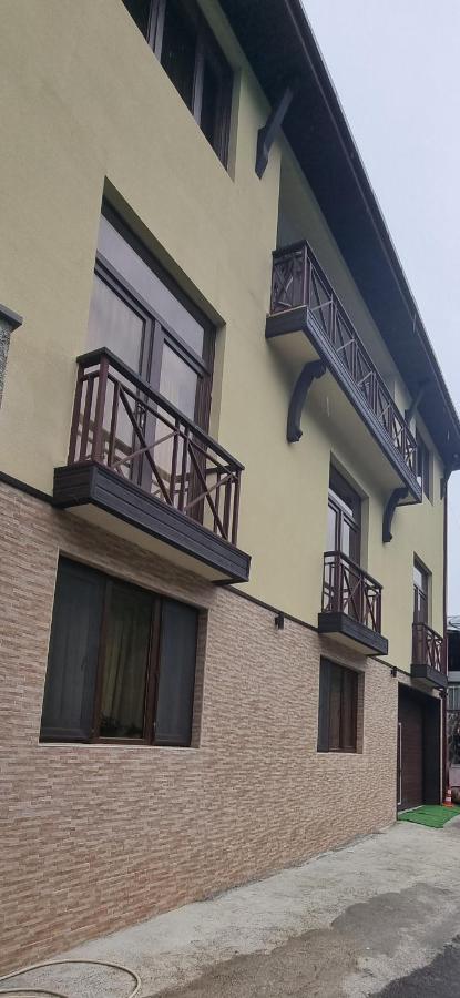 villa beridze Borzsomi Kültér fotó