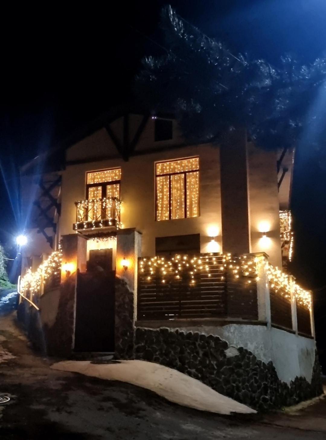 villa beridze Borzsomi Kültér fotó