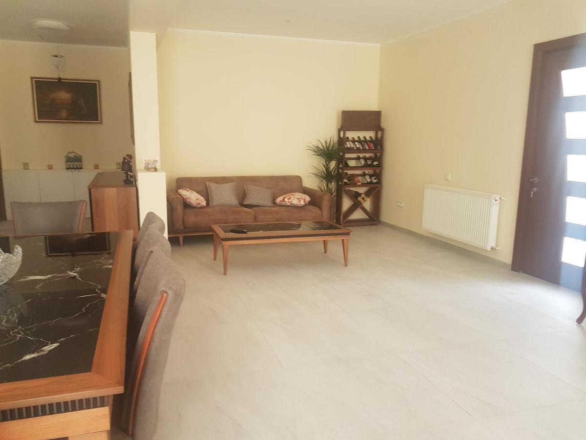 villa beridze Borzsomi Kültér fotó