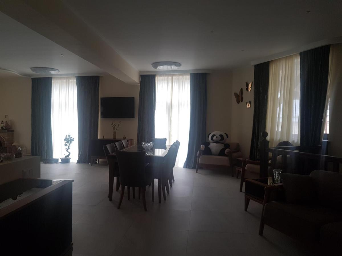 villa beridze Borzsomi Kültér fotó